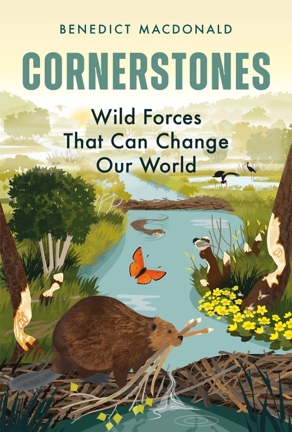 Children Illustration 12